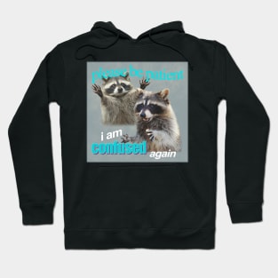 funny raccoon meme 90s tshirt Hoodie